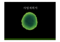 사업계획서 - 시각장애인과 함께 지역사회에 필요한 건강한 아이들을 키우느 소셜 벤쳐 - swot 분석, 시장분석 -1