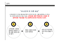 스마트폰 액세서리 창업 사업계획서 -3