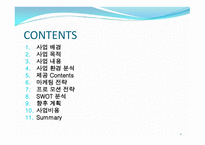인터넷과 전자 상거래_싱글들을 위한 소품 판매 - 사업 계획서 -2