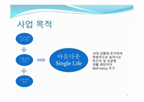 인터넷과 전자 상거래_싱글들을 위한 소품 판매 - 사업 계획서 -4