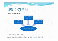 인터넷과 전자 상거래_싱글들을 위한 소품 판매 - 사업 계획서 -6
