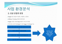 인터넷과 전자 상거래_싱글들을 위한 소품 판매 - 사업 계획서 -7