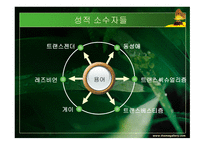 성정체성 성문화 -8