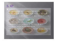 사업계획서_산업성 분석, 카페의 사업성 분석, 사업 내용 -16