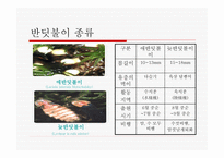 무주 반딧불 축제 소개 -5