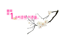 소비 문화 이론들 - 소비 문화에 대한 -3