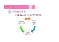 소비 문화 이론들 - 소비 문화에 대한 -13