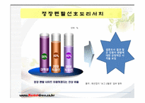 Rental Dress-Shop 사업계획서 -12