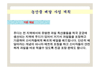 과일 판매 및 배달 서비스 사업계획서 -6