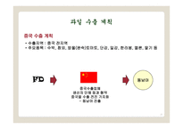 과일 판매 및 배달 서비스 사업계획서 -20