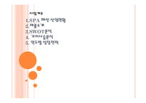 사업계획서  spa 기업현황, 기업소개 -11