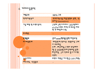 사업계획서  spa 기업현황, 기업소개 -17