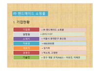 ㈜ 핸드메이드 쇼핑몰 사업계획서 - 기업현황, 제품과 서비스 -3
