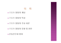 스포츠의 일탈 개념, 특성, 주요 이론 -2