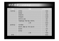 관광벤처창업론  (THE TOPOKKI) 분식업 사업계획서 -12