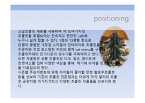 Sucree chocolate cafe 사업계획서 - 초콜릿 시장 -11