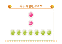 대구 혜림원 설립목적, 연혁 -4