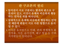 판_구조론 - 판 구조론이 나오게 된 배경, 대륙이동설의 증거 -5