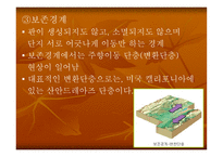 판_구조론 - 판 구조론이 나오게 된 배경, 대륙이동설의 증거 -15