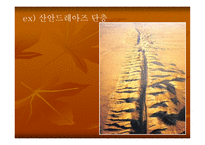 판_구조론 - 판 구조론이 나오게 된 배경, 대륙이동설의 증거 -16