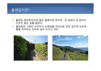 제주도 올레길 CCTV - 올레길, 올레길 사건 사고, 올레길 CCTV 설치 반대, 올레길의 변화 -4