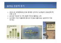 제주도 올레길 CCTV - 올레길, 올레길 사건 사고, 올레길 CCTV 설치 반대, 올레길의 변화 -6