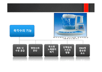 육각수 - 물의 정의와 중요성, 식수의 안정성 -13