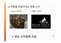 입는소비문화 - 옷을 입는 의미는, 입는 소비문화의 변화 과정, 입는 소비문화 모습, 생각하며 입는 소비문화 -18