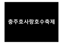 실용적글쓰기 - 충주의 축제 소개, 충주호사랑호수 축제, 다른 지역의 호수 축제, 프로그램 개발 -11