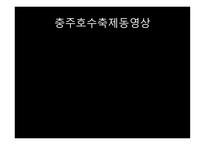 실용적글쓰기 - 충주의 축제 소개, 충주호사랑호수 축제, 다른 지역의 호수 축제, 프로그램 개발 -12