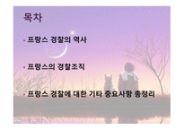 프랑스 경찰 역사, 조직, 기타 주요사항 총정리 -2