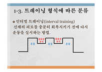 트레이닝 방법론 - 트레이닝과 체력의 개념 -13