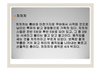 댄스 스포츠의 개념과 종류 -11