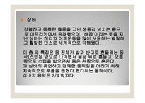 댄스 스포츠의 개념과 종류 -12