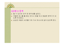 스포츠 댄스 에티켓과 예절 -11