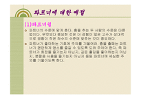 스포츠 댄스 에티켓과 예절 -12
