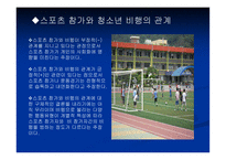 스포츠의일탈 개념, 규범, 특성 -17