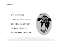광우병의 정의, 원인, 증상   -3