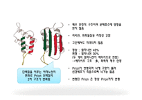광우병의 정의, 원인, 증상   -5