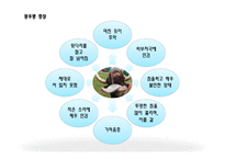 광우병의 정의, 원인, 증상   -6