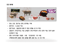 광우병의 정의, 원인, 증상   -7