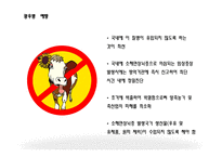 광우병의 정의, 원인, 증상   -10