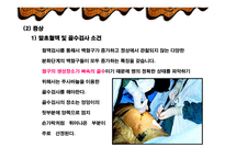 만성질환자 사례연구 (만성골수성 백혈병) -5