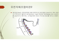 유전자 재조합 (유전분과) 개념, 방법, 이용, 장단점 -3