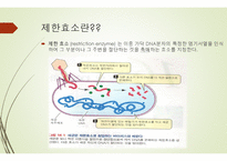 유전자 재조합 (유전분과) 개념, 방법, 이용, 장단점 -6