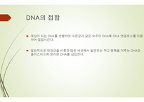 유전자 재조합 (유전분과) 개념, 방법, 이용, 장단점 -8