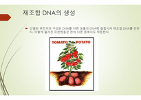 유전자 재조합 (유전분과) 개념, 방법, 이용, 장단점 -13