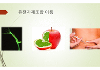 유전자 재조합 (유전분과) 개념, 방법, 이용, 장단점 -14