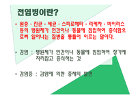 전염병이란, 전염 경로, 전염의 종류 -2