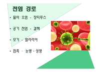 전염병이란, 전염 경로, 전염의 종류 -3